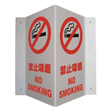 SAFEWARE/安赛瑞 V型标识-禁止吸烟，自发光板材，300mm高×150mm宽，39050