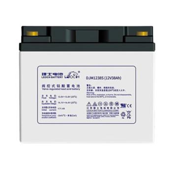LEOCH/理士 蓄电池 ,DJM1238S（仅电池本体）