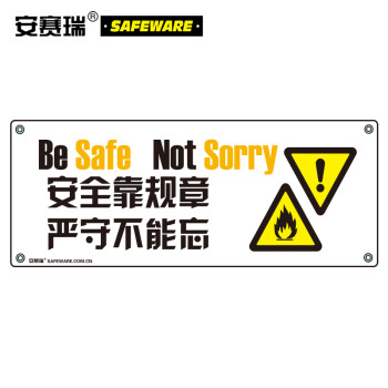 SAFEWARE/安赛瑞 安全主题横幅-安全靠规章 严守不能忘，尼龙布，150×375cm，30310