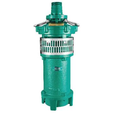 XIN JIE/新界 QY型充油式小型潜水泵，QY160-4-3Z3，软管连接