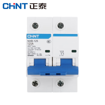 CHINT/正泰 微型断路器 ,NXB-125 2P 125A C型