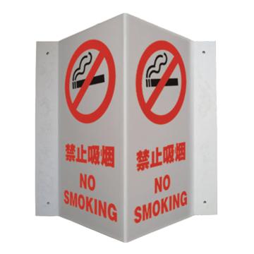 SAFEWARE/安赛瑞 V型标识-禁止吸烟，自发光板材，400mm高×200mm宽，39052