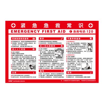 SAFEWARE/安赛瑞 紧急急救常识，ABS板，75cm×50cm，30401