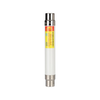 DELIXI/德力西 XRNT1-12KV(SFL*J) 50A 体 (Φ76×292) XRNT1-12KV(SFL*J) 50A 体 (Φ76×292)