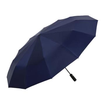 天堂伞TTS 全自动雨伞10骨超大加固男女大号双人防风学生晴雨伞遮阳伞，38018E (黑色、藏青、灰色、紫色随机)