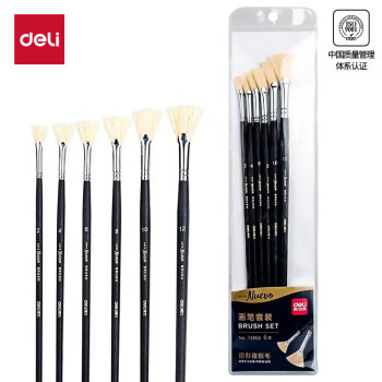 Deli/得力 73896_扇形猪鬃毛画笔6支套装(黑色)(6支/袋)