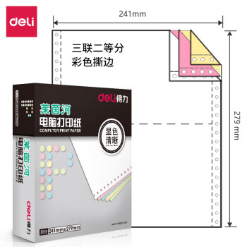 Deli/得力 莱茵河L241-3电脑打印纸(1/2CS彩色撕边)(1000页/盒)