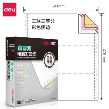 Deli/得力 莱茵河L241-3电脑打印纸(1/3CS彩色撕边)(1000页/盒)