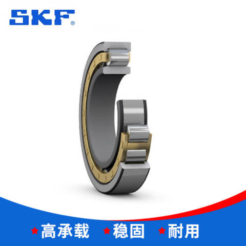 SKF/斯凯孚 圆柱滚子轴承 BC1-0313