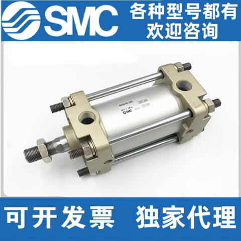 SMC 标准型气缸 CDA2G100-725Z-M9BWL