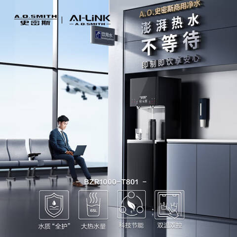 A.O.SMITH/史密斯 双温双控双龙头反渗透净水机直饮机 BZR1000-T801-1000G一级水效水箱UV杀菌双温双控 台