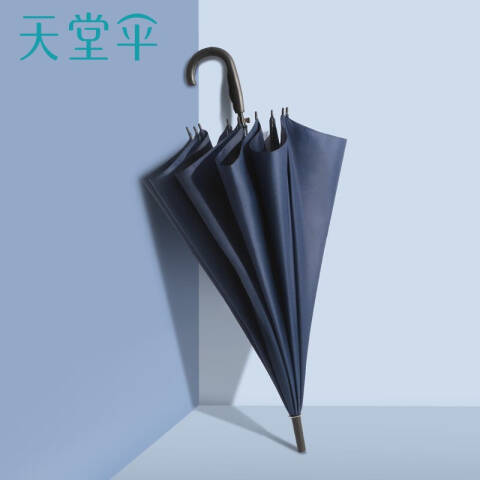 天堂伞TTS 加大雨伞长柄半自动超大号10骨防风防雨伞，193E 藏青色
