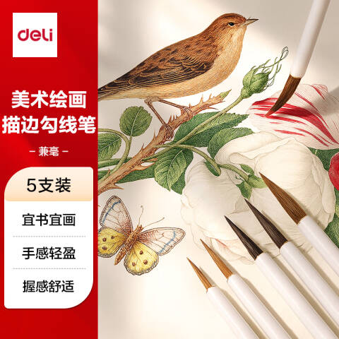 Deli/得力 HW158勾线毛笔套装(混)(5支/套)