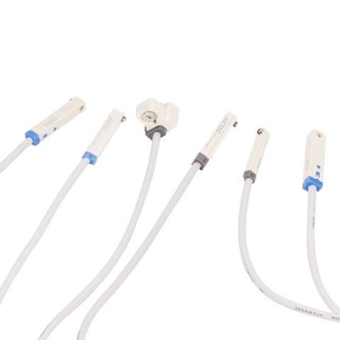 AirTAC/亚德客 DMS系列磁性开关 DMSG-020-W 2M