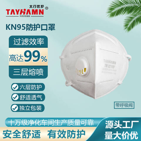 太行KN95带阀颗粒物防护口罩TH2210V