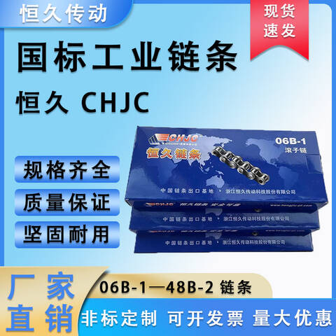 CHJC/恒久标准滚子链条B系列单排 12B-1×80L 长1.524m/TY