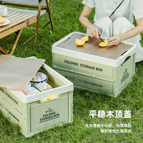 FTLY/飞图乐 带手提折叠收纳箱 55L CWX0302 55L 可折叠