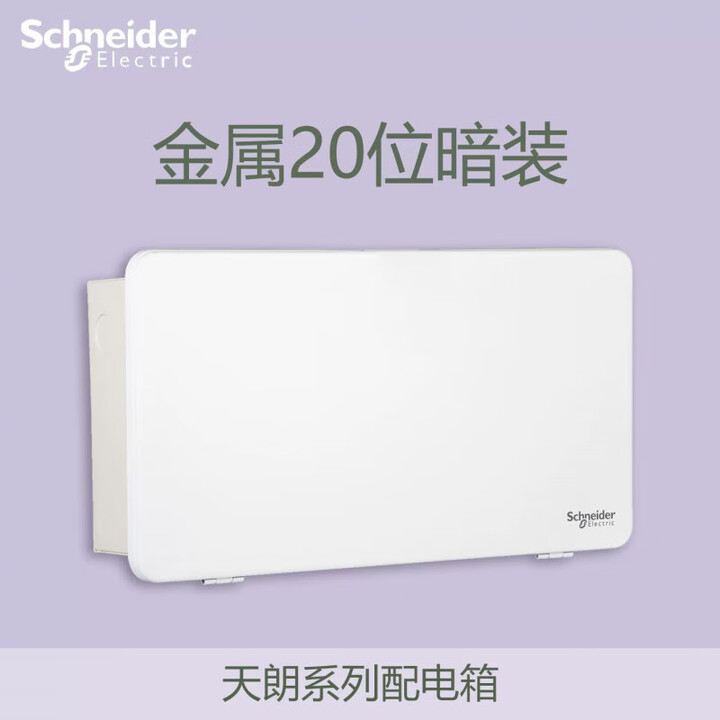 施耐德 天朗系列模数配电箱（暗装） TLJ20B