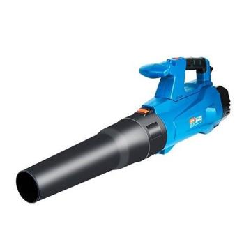 Dongcheng/东成 吹风机 Q1F-FF-120