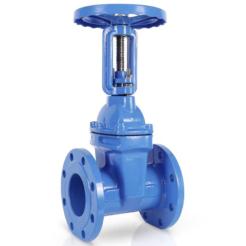 HONGKANG/宏康 明杆铸钢闸阀 Z41X-16C-DN800