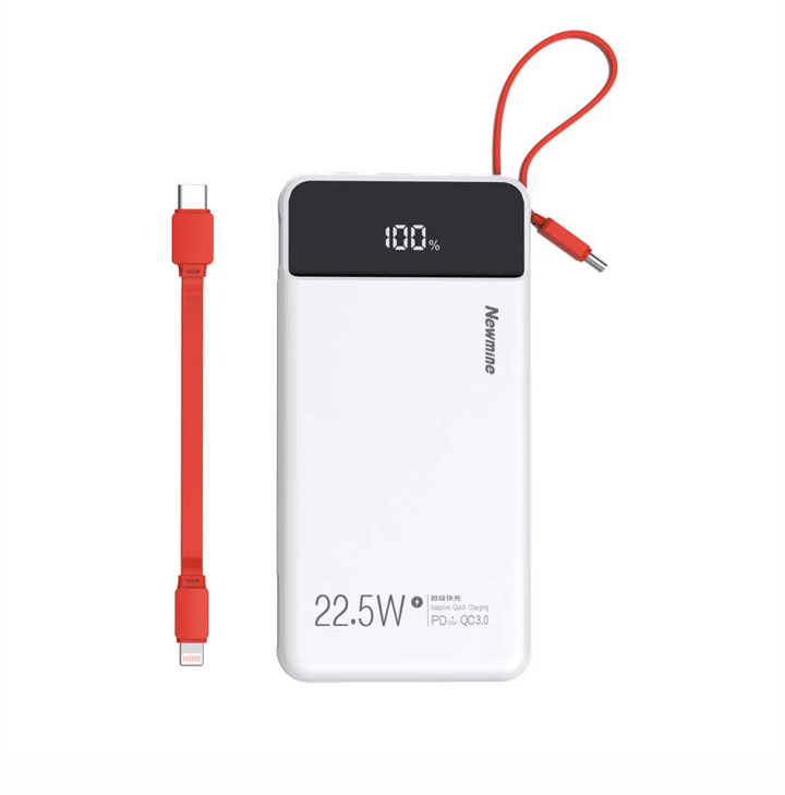 纽曼（Newmine）P170 10000毫安自带线快充数显移动电源